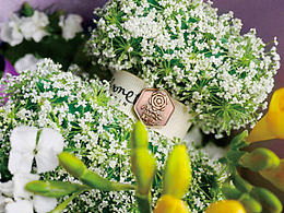 莫奈花園_品牌形象設(shè)計(jì)