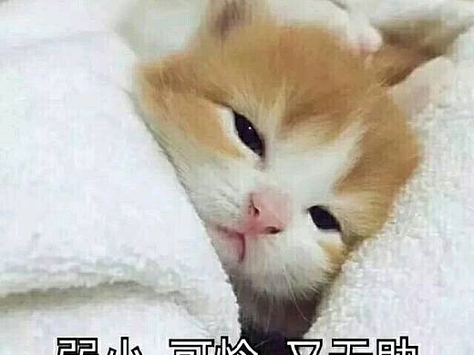 都是大神啊大神啊
