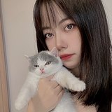 海拔红妖的头像