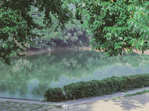 圣母利亞圣光大茶園（個人主頁-ZMjMzNzc5MzI=） - 人文/紀(jì)實(shí)攝影 - 站酷設(shè)計師一碗繭原創(chuàng)素材 - 站酷ZCOOL