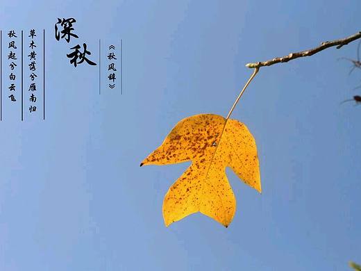 深秋之美（个人主页-ZMTUyMTQ4NTY=） - 风光摄影 - 站酷设计师枫之爱恋原创素材 - 站酷ZCOOL