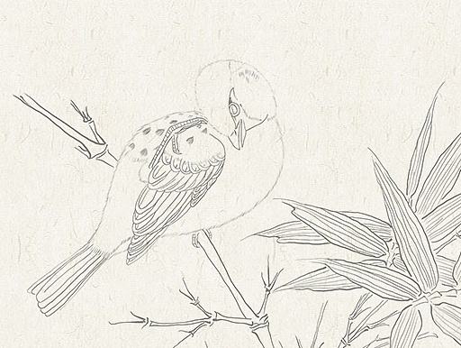 鸟和竹子插画