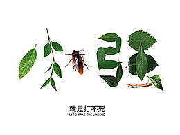 字体设计-审美