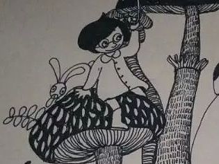 蘑菇群~~2015.5.13