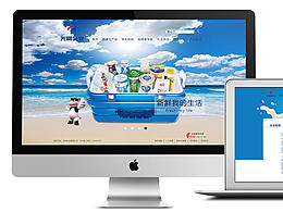 PC，手機端網(wǎng)站設(shè)計