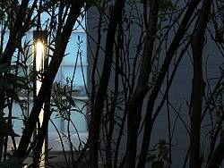 佳能60D新机试拍片子