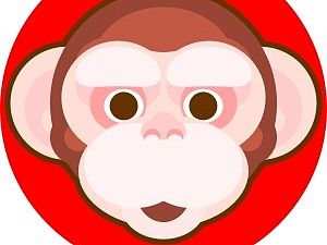 猴子