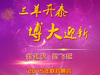 2015年会手机专题