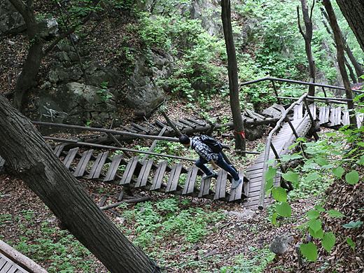 我拍的一些未经修饰的图2