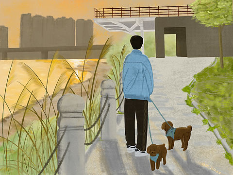 第一幅插画作品