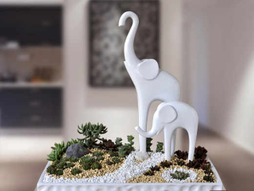 小清新大象多肉盆景,您见过吗?