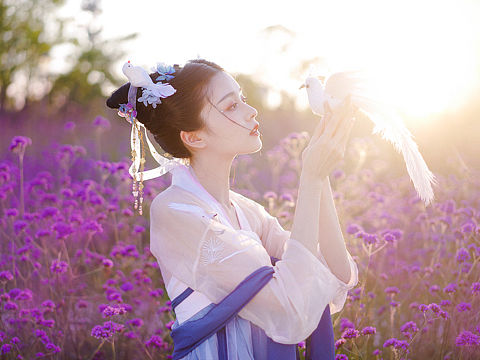 陌上花