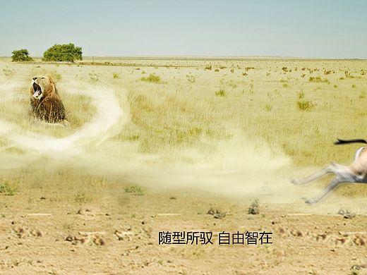 网易云音乐，，，，，创意汽车海报