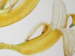 香蕉