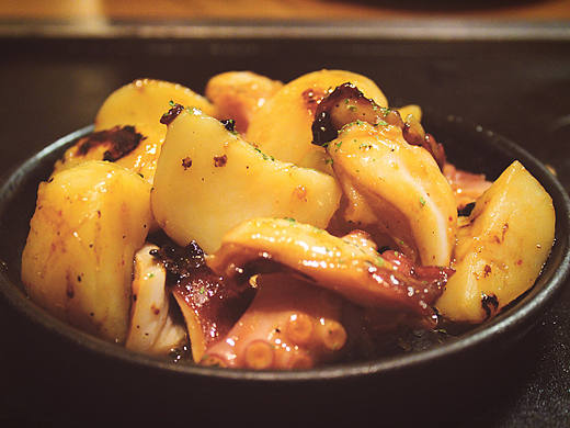 霓虹国十日存照