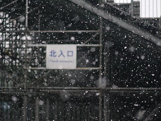 上海初雪（个人主页-ZMzIwMDExMDg=） - 风光摄影 - 站酷设计师炸天涯原创素材 - 站酷ZCOOL