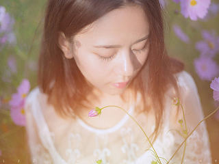 梦里花落