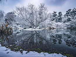 风景
