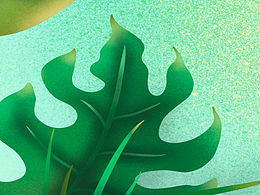树叶