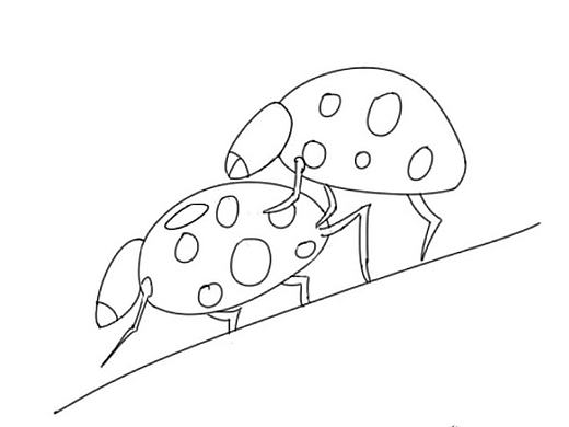 《春天是个交配的季节》 静享会 新媒体线下沙龙 手绘插画海报 