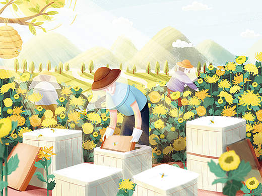 蜂蜜包装插图