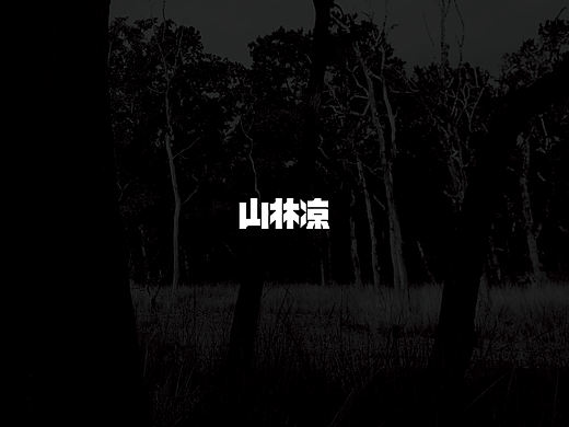 山林凉SHANLINLIANG鞋服品牌