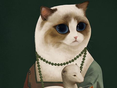 猫与猫与猫