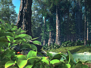 卡的让人蛋疼的森林（个人主页-ZMzcyNjYwMA==） - 场景 - 站酷设计师sheep_happy原创素材 - 站酷ZCOOL