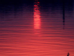 马上入冬了~去河边溜达~没准过几天就要结冰了