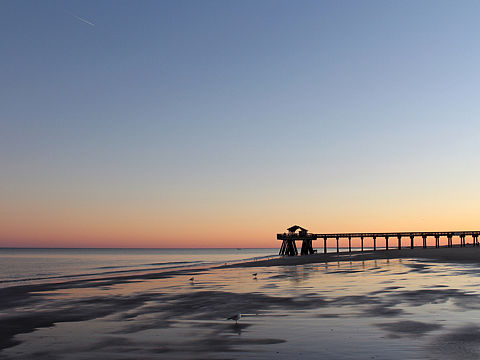 Tybee Island- Savannah Georgia