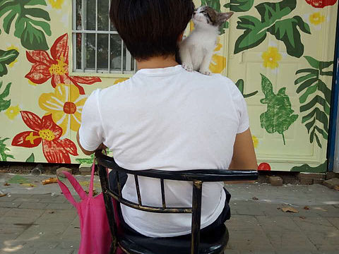 最近的一些乱七八糟的画（个人主页-ZMjQyODAyNTI=） - 绘画 - 站酷设计师薄薄的薄荷原创素材 - 站酷ZCOOL