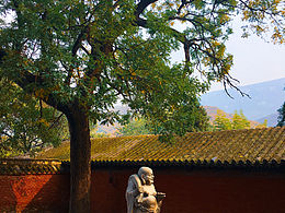 【摄影】<b class='hightlight'>景区</b><b class='hightlight'>风景</b>