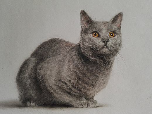 素描蓝猫（个人主页-ZMzkwMzUzNjA=） - 绘画 - 站酷设计师Z02757098原创素材 - 站酷ZCOOL