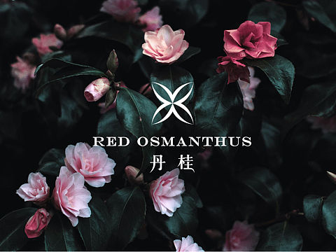 丹桂香水品牌形象设计