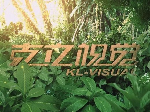 丛林穿越小片头