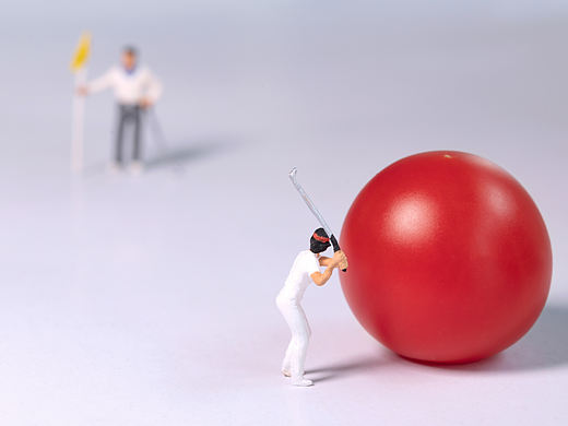 迷你西红柿 巨型高尔夫