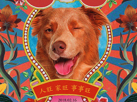 狗年海報（個人主頁-ZMjYxMzA0NDQ=） - 海報 - 站酷設(shè)計師王開米原創(chuàng)素材 - 站酷ZCOOL