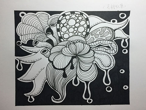 黑白插画