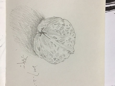 开始尝试临摹的猫。（个人主页-ZMjA0MzI1OTI=） - 单幅漫画 - 站酷设计师不要相信猫原创素材 - 站酷ZCOOL