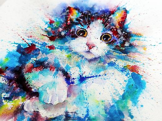 水彩下的猫青年