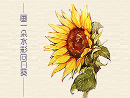 手绘花