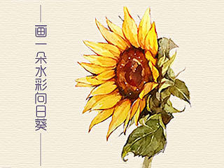 画一朵水彩向日葵的小过程