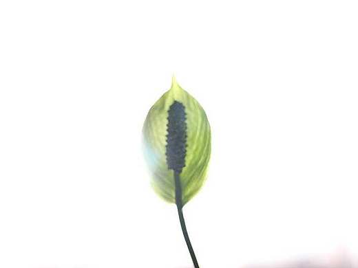 一帆风顺（个人主页-ZMTkyMjMzMjg=） - 人文/纪实摄影 - 站酷设计师桃白白baitao原创素材 - 站酷ZCOOL