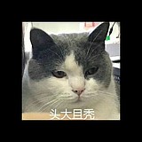 甜饼a的头像