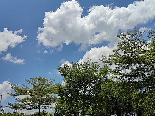 蓝天白云的炎炎夏日（个人主页-ZNTQ2Njk2MzI=） - 风光摄影 - 站酷设计师法尔艾维尔原创素材 - 站酷ZCOOL