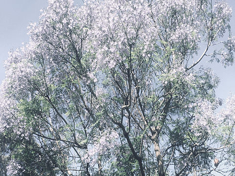 Everything（个人主页-ZMjUwNzI0MjA=） - 风光摄影 - 站酷设计师Bess胡雪阳原创素材 - 站酷ZCOOL