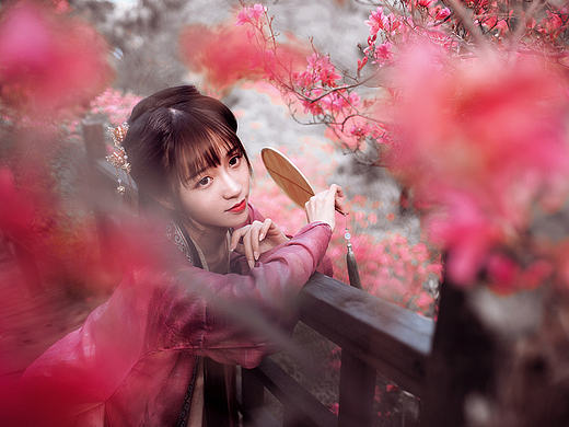 一路山花不负侬