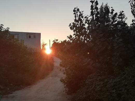 夕阳（个人主页-ZMzAyMzEzNTI=） - 风光摄影 - 站酷设计师parrot123原创素材 - 站酷ZCOOL