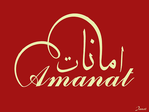 设计哈萨克传媒公司标志（AMANAT）