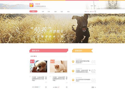 WEB：领宠吧首页设计